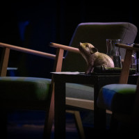 lit.COLOGNE 2026: 15.03. VA60: Der lit.COLOGNE-Debütpreis 2026 mit Nefeli Kavouras, Clara Leinemann und Son Lewandowski, Mod.: Marie-Christine Knop © Katja Tauber